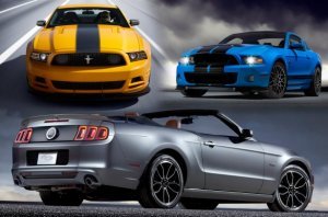Mustang 2013 line up